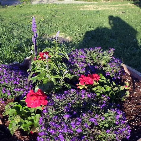 Le Buche Wine Resort&spa Resort 3*