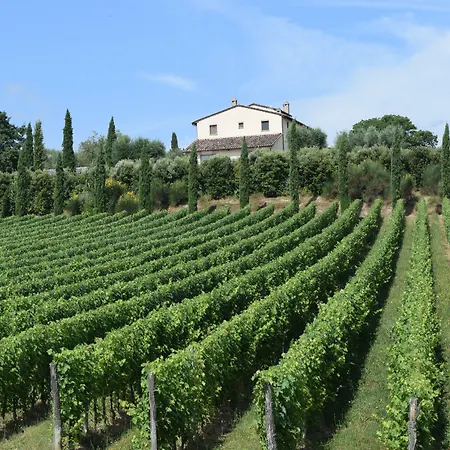 Le Buche Wine Resort&spa Resort Macciano