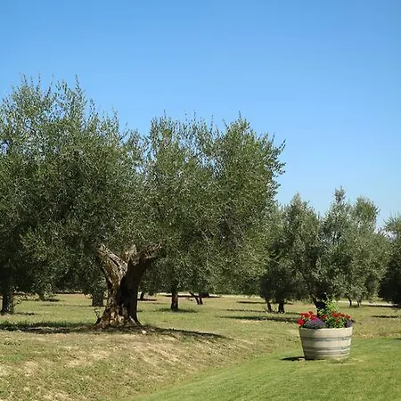 Le Buche Wine Resort&spa אתר נופש