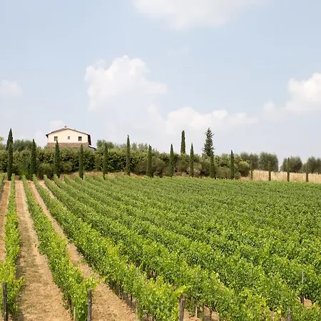 Le Buche Wine Resort&spa Macciano