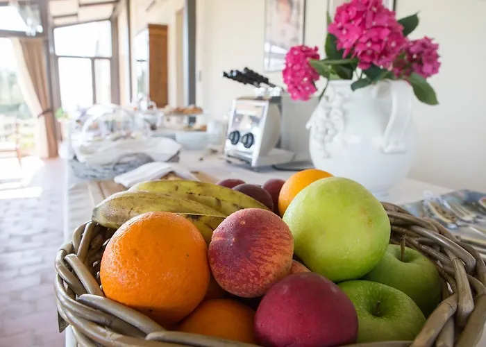 Le Buche Wine Resort&spa 리조트